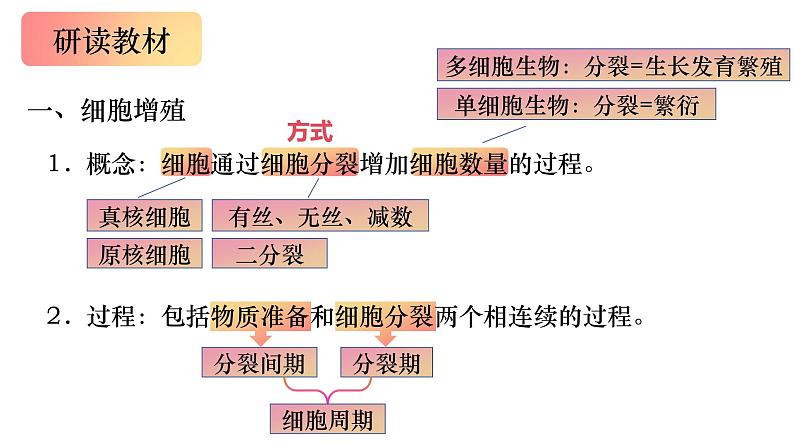 13 细胞的增殖-备战2025年高考生物一轮复习知识点精编课件第2页