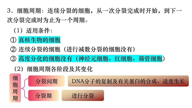 13 细胞的增殖-备战2025年高考生物一轮复习知识点精编课件第3页