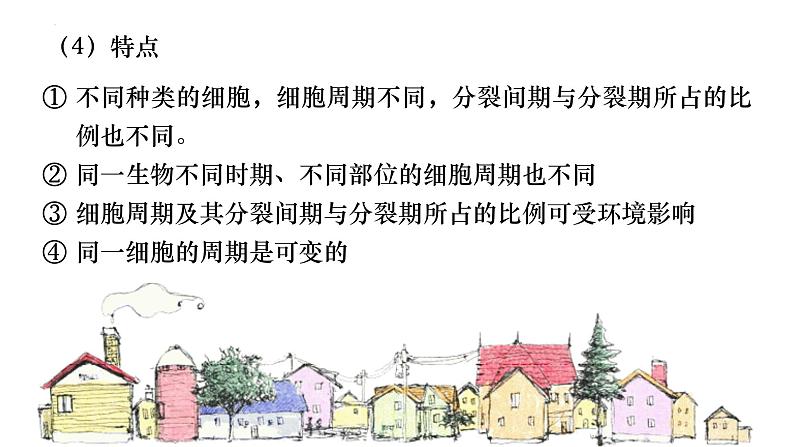 13 细胞的增殖-备战2025年高考生物一轮复习知识点精编课件第6页