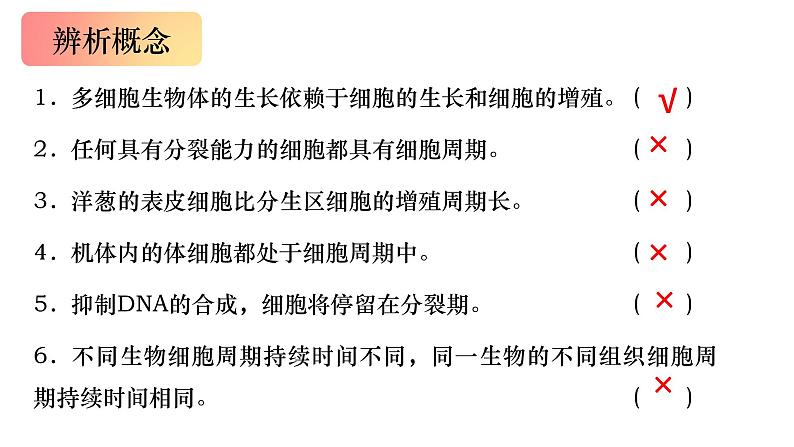 13 细胞的增殖-备战2025年高考生物一轮复习知识点精编课件第8页
