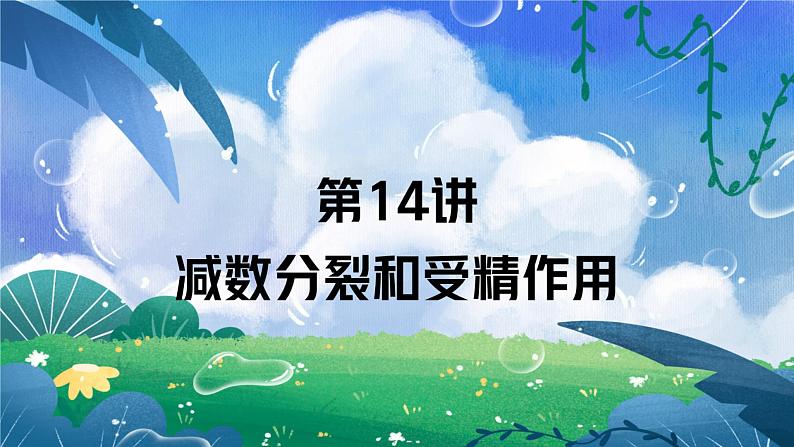 14 减数分裂-备战2025年高考生物一轮复习知识点精编课件第1页