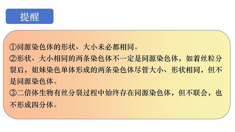 14 减数分裂-备战2025年高考生物一轮复习知识点精编课件第6页