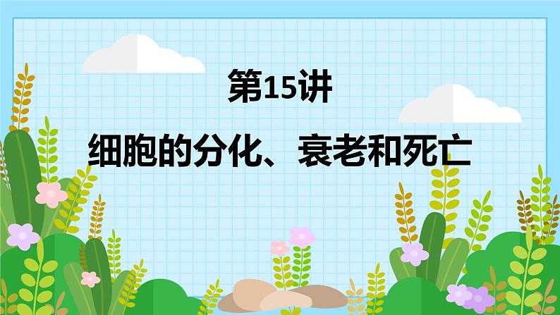 15 细胞的分化、衰老和死亡-备战2025年高考生物一轮复习知识点精编课件第1页