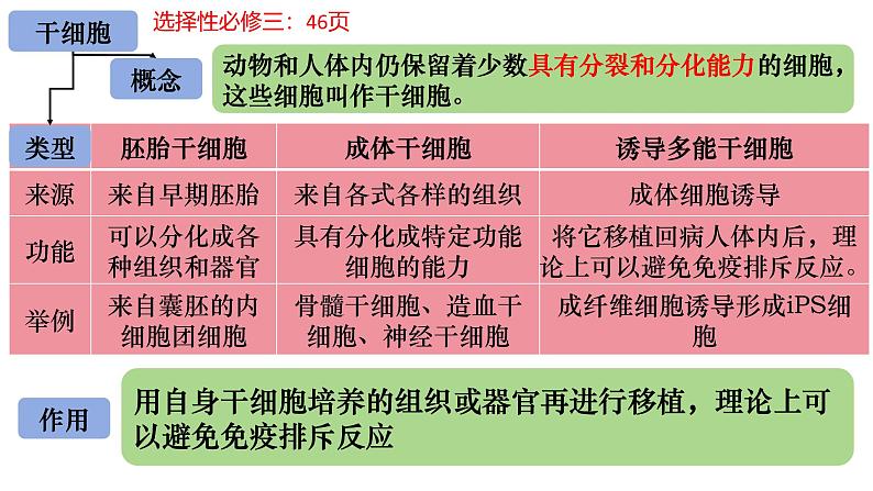 15 细胞的分化、衰老和死亡-备战2025年高考生物一轮复习知识点精编课件第6页