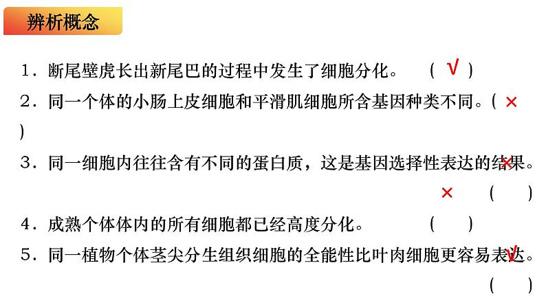 15 细胞的分化、衰老和死亡-备战2025年高考生物一轮复习知识点精编课件第8页