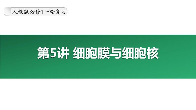 第5讲 细胞膜与细胞核-备战2025年高考生物大一轮复习课件（新高考通用）01