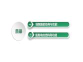 第5讲 细胞膜与细胞核-备战2025年高考生物大一轮复习课件（新高考通用）
