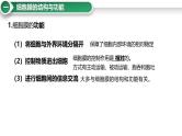 第5讲 细胞膜与细胞核-备战2025年高考生物大一轮复习课件（新高考通用）