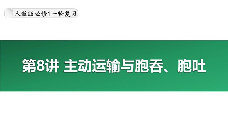 第8讲 主动运输-备战2025年高考生物大一轮复习课件（新高考通用）第1页