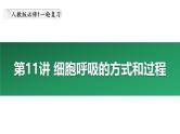 第11讲 细胞呼吸的方式和过程-备战2025年高考生物大一轮复习课件（新高考通用）