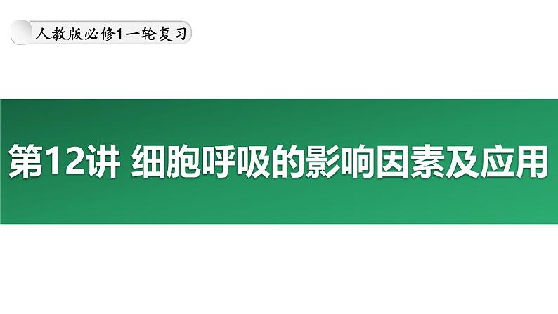 第12讲 细胞呼吸的影响因素及其应用-备战2025年高考生物大一轮复习课件（新高考通用）第1页