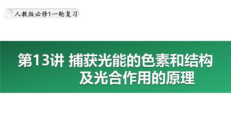 第13讲  捕获光能的色素和结构及光合作用的原理-备战2025年高考生物大一轮复习课件（新高考通用）第1页