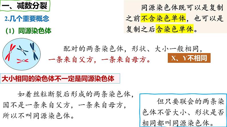 第16讲 减数分裂和受精作用-备战2025年高考生物一轮复习优质课件第6页