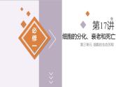 第17讲 细胞的分化、衰老和死亡-备战2025年高考生物一轮复习优质课件