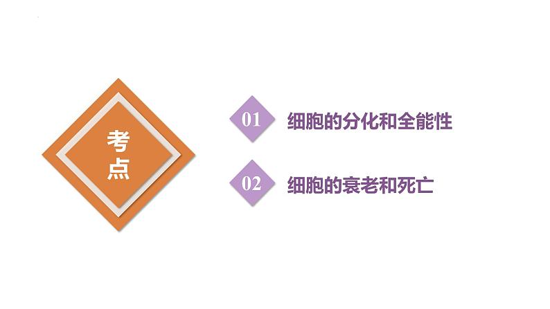 第17讲 细胞的分化、衰老和死亡-备战2025年高考生物一轮复习优质课件第3页