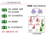 专题08 基因分离定律-2025年高考生物一轮复习课件