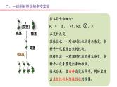 专题08 基因分离定律-2025年高考生物一轮复习课件