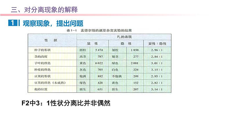 专题08 基因分离定律-2025年高考生物一轮复习课件06