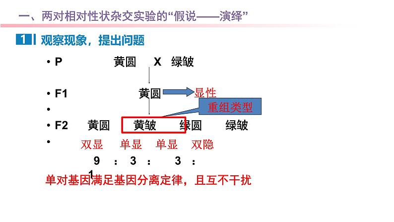 专题09 基因自由组合定律-2025年高考生物一轮复习课件03