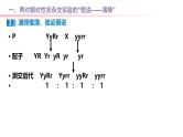 专题09 基因自由组合定律-2025年高考生物一轮复习课件