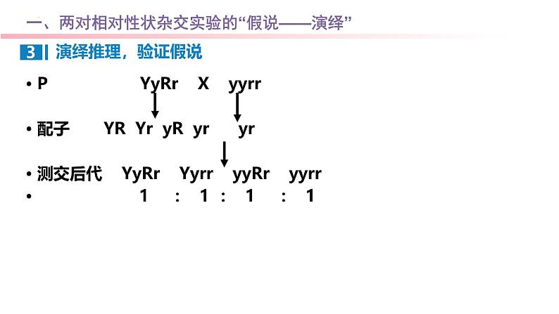 专题09 基因自由组合定律-2025年高考生物一轮复习课件05