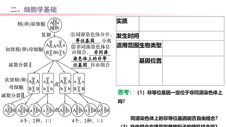 专题09 基因自由组合定律-2025年高考生物一轮复习课件07