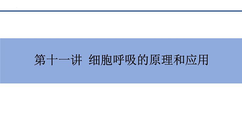 专题07 细胞呼吸的原理和应用-2025年高考生物一轮复习课件第1页