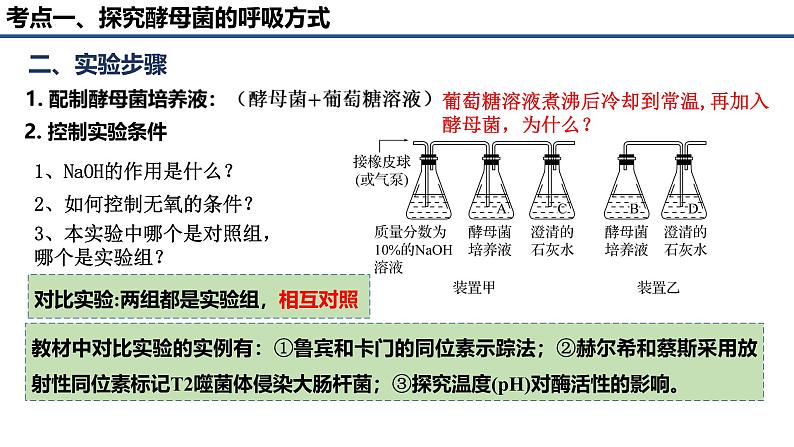 专题07 细胞呼吸的原理和应用-2025年高考生物一轮复习课件第3页