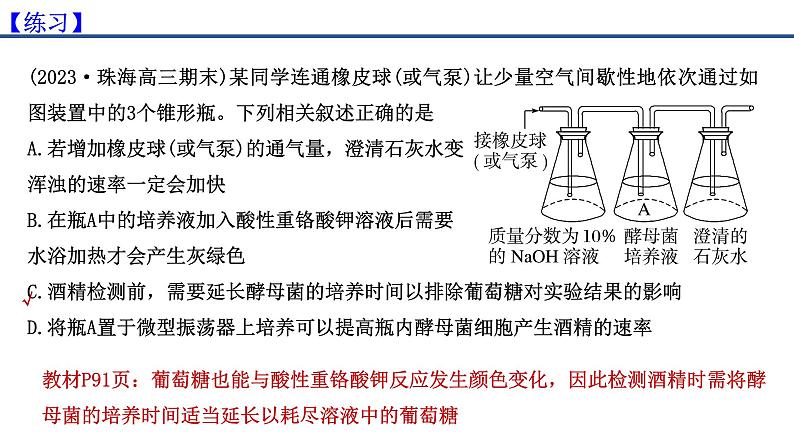 专题07 细胞呼吸的原理和应用-2025年高考生物一轮复习课件第5页