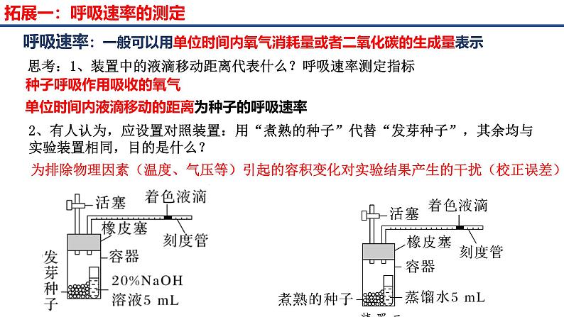 专题07 细胞呼吸的原理和应用-2025年高考生物一轮复习课件第6页