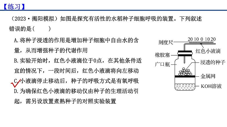 专题07 细胞呼吸的原理和应用-2025年高考生物一轮复习课件第8页