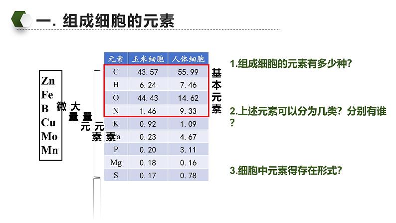 人教版（2019）高中生物必修一《分子与细胞》第二章第一节2.1 细胞中元素和化合物-课件06