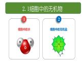 人教版（2019）高中生物必修一《分子与细胞》第二章第二节2.2细胞中无机物-课件