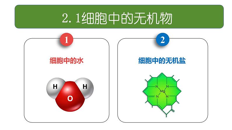 人教版（2019）高中生物必修一《分子与细胞》第二章第二节2.2细胞中无机物-课件03