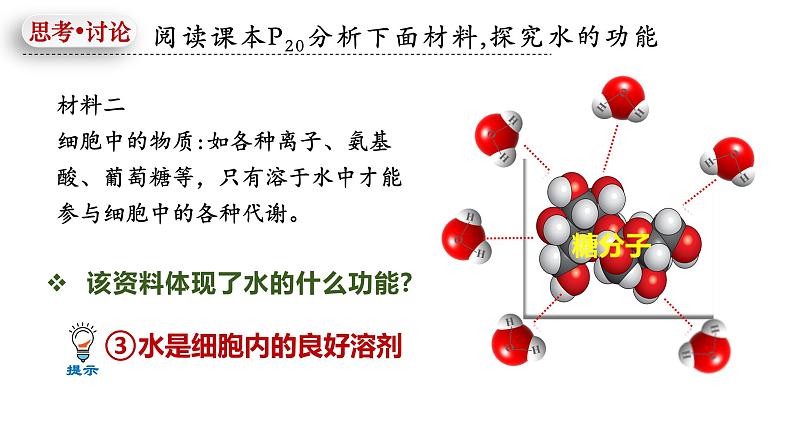 人教版（2019）高中生物必修一《分子与细胞》第二章第二节2.2细胞中无机物-课件07