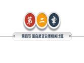 人教版（2019）高中生物必修一《分子与细胞》第二章第二节2.4蛋白质相关计算-课件