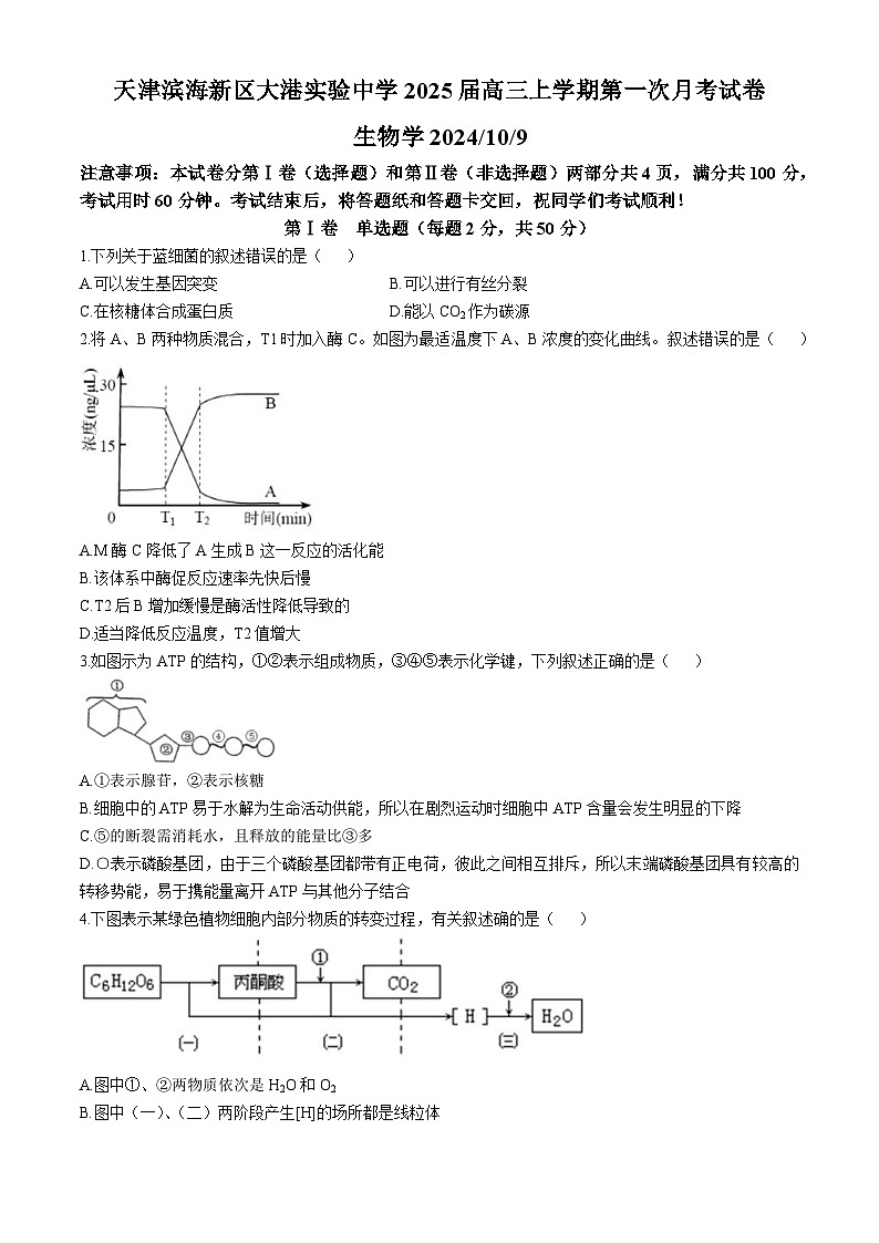 天津市天津市滨海新区天津市滨海新区大港实验中学2024-2025学年高三上学期10月月考生物试题01