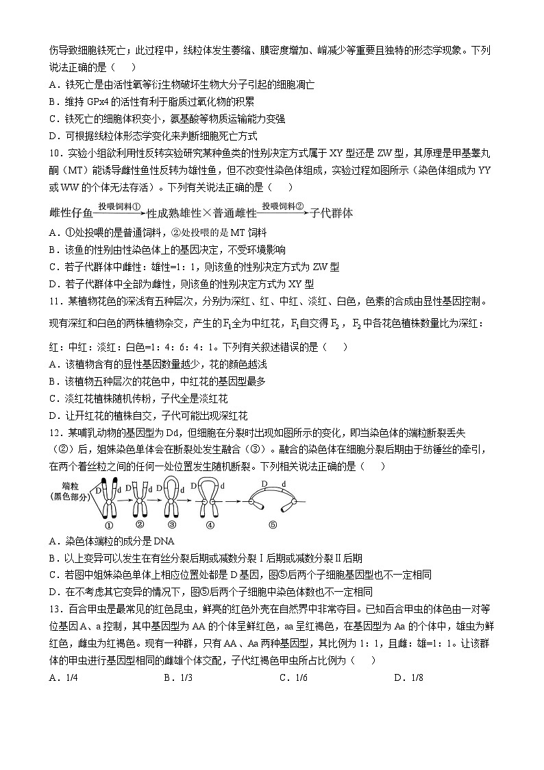 黑龙江省绥化市绥棱县第一中学2024-2025学年高三上学期10月月考生物试题第3页