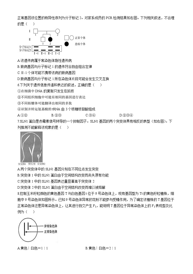 北京市海淀区2024-2025学年高三上学期10月月考生物试卷(无答案)第2页