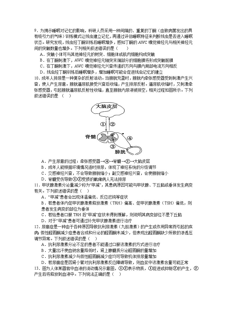 武汉市汉阳一中、江夏一中2024—2025学年度上学期10月联考高二 生物试卷第3页