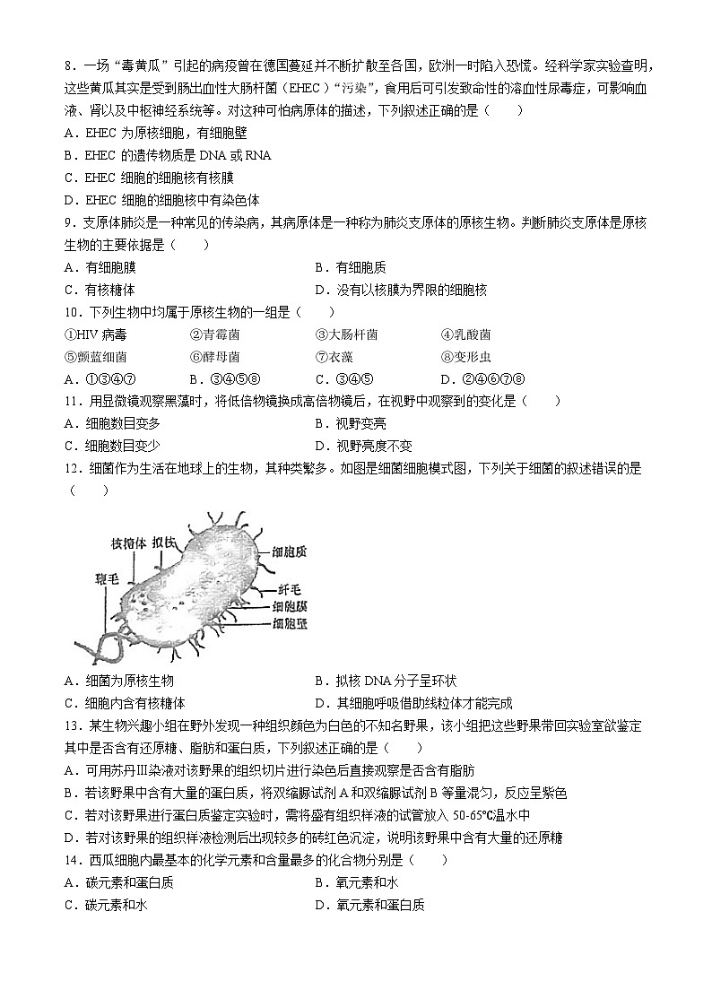 陕西省西安市周至县第六中学2024-2025学年高一上学期10月月考生物试题02