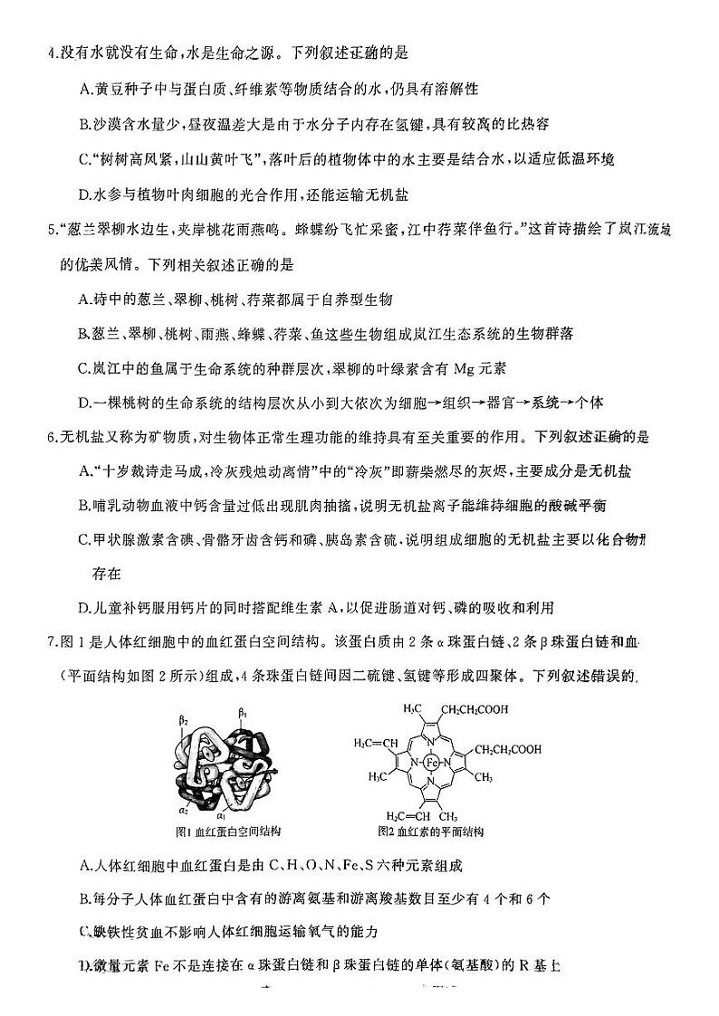 湖南省名校联合体2024-2025学年高一上学期10月联考生物试题第2页