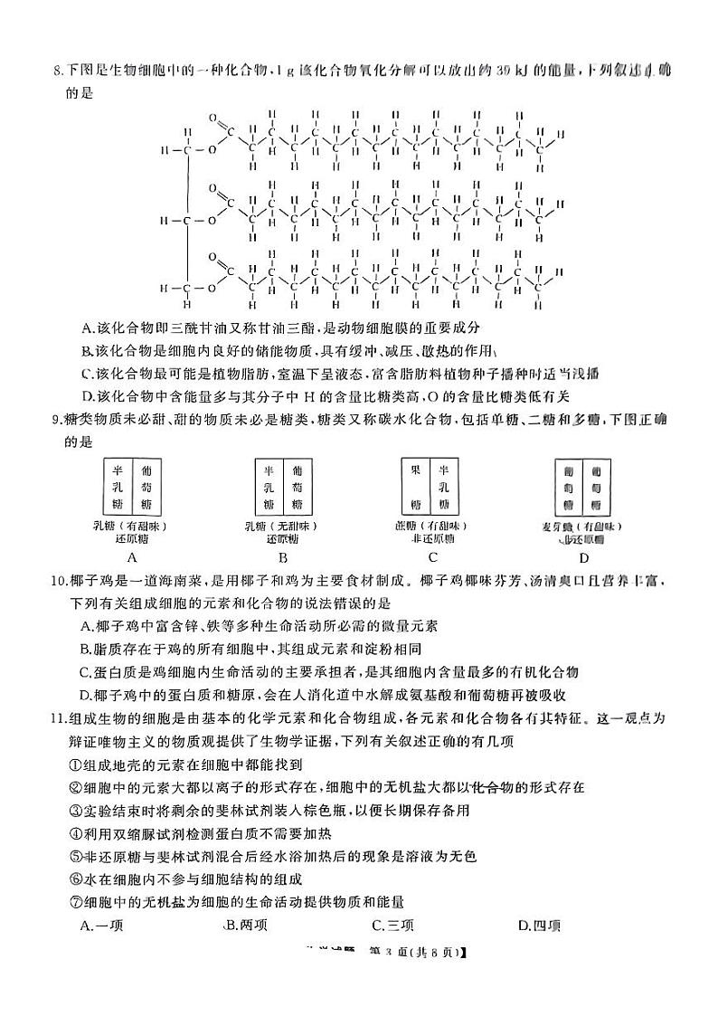 湖南省名校联合体2024-2025学年高一上学期10月联考生物试题第3页