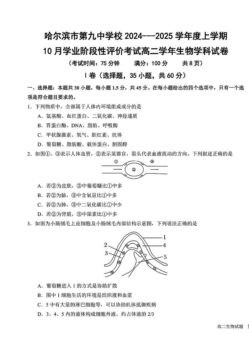 黑龙江省哈尔滨市第九中学2024-2025学年高二上学期10月考试生物学科考试试卷01