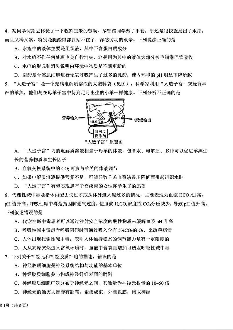 黑龙江省哈尔滨市第九中学2024-2025学年高二上学期10月考试生物学科考试试卷02
