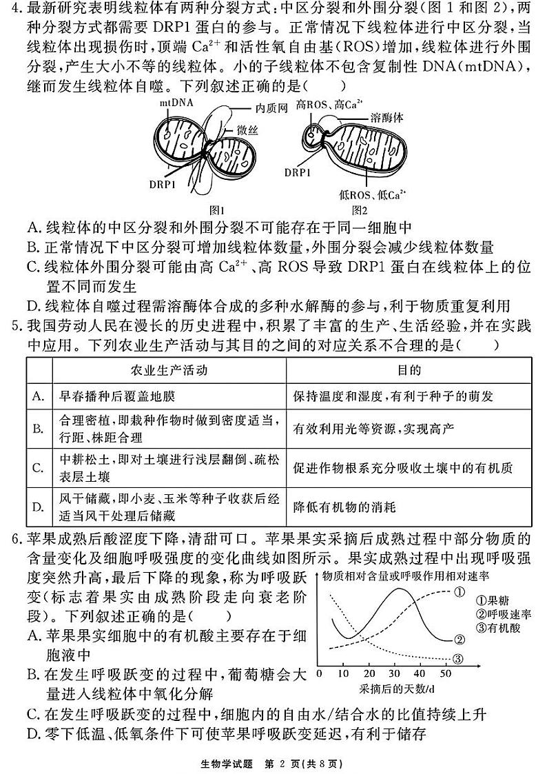 安徽省合肥市第一六八中学2024-2025学年高三上学期十月段考生物试卷第2页