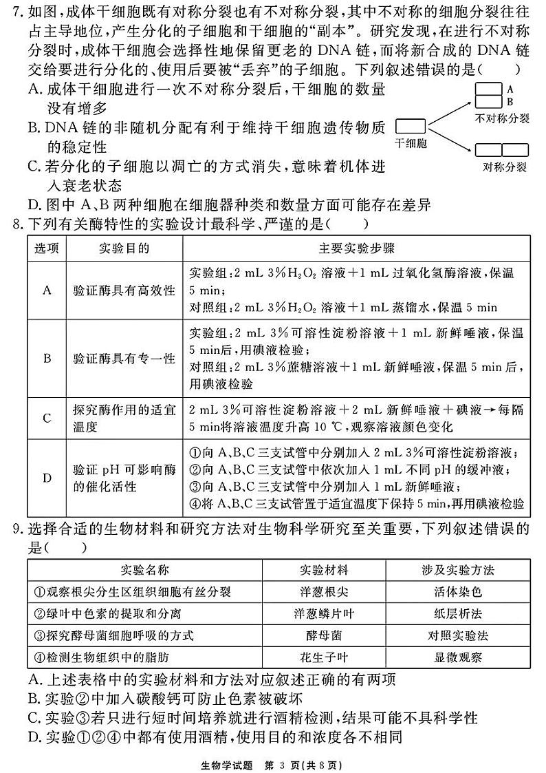 安徽省合肥市第一六八中学2024-2025学年高三上学期十月段考生物试卷第3页