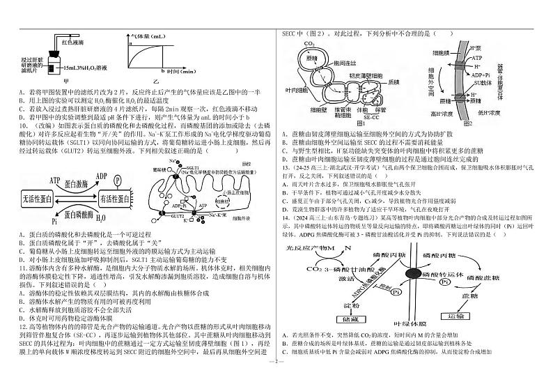 生物丨河北省衡水市第二中学2025届高三10月素养检测（一）生物试卷及答案第2页