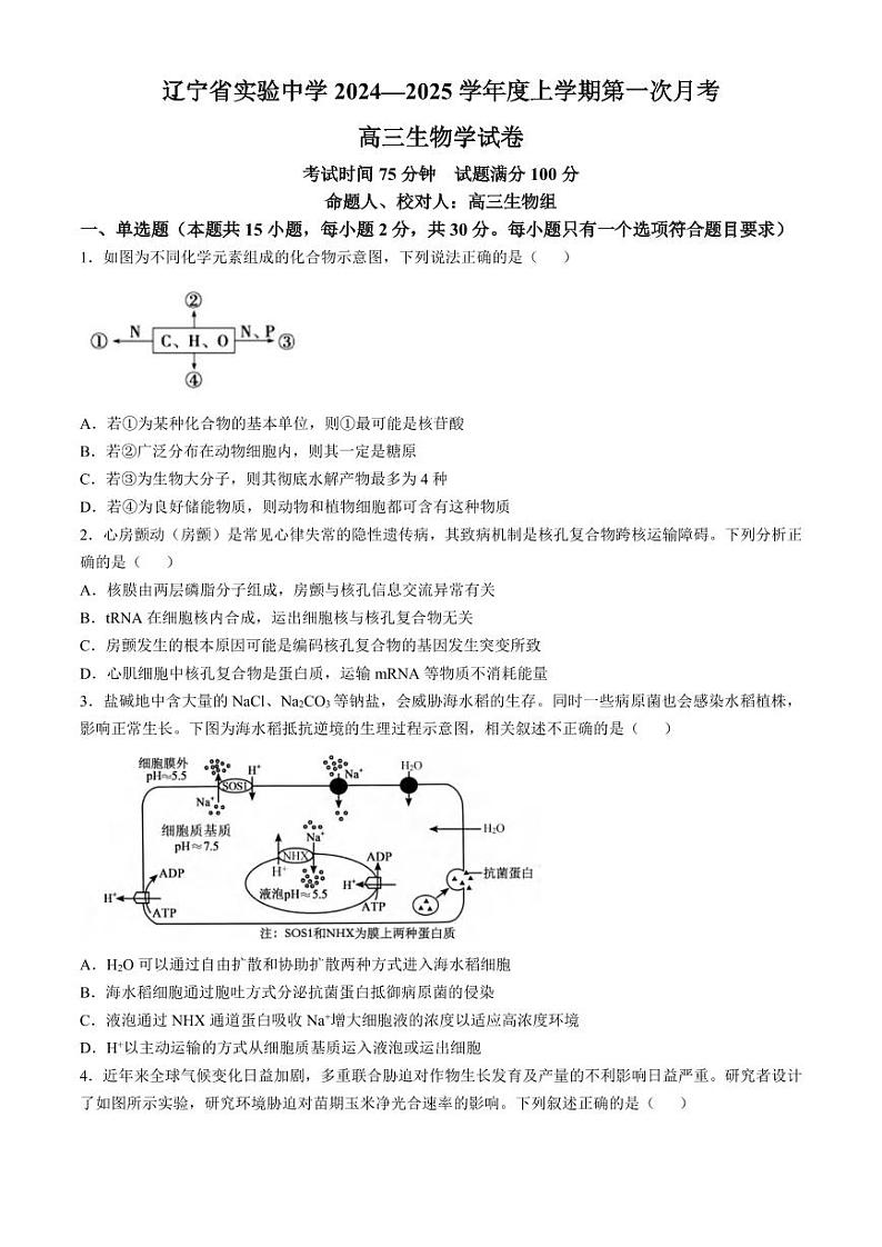 生物丨辽宁省辽宁省实验中学2025届高三10月月考暨第一次阶段测试生物试卷及答案第1页