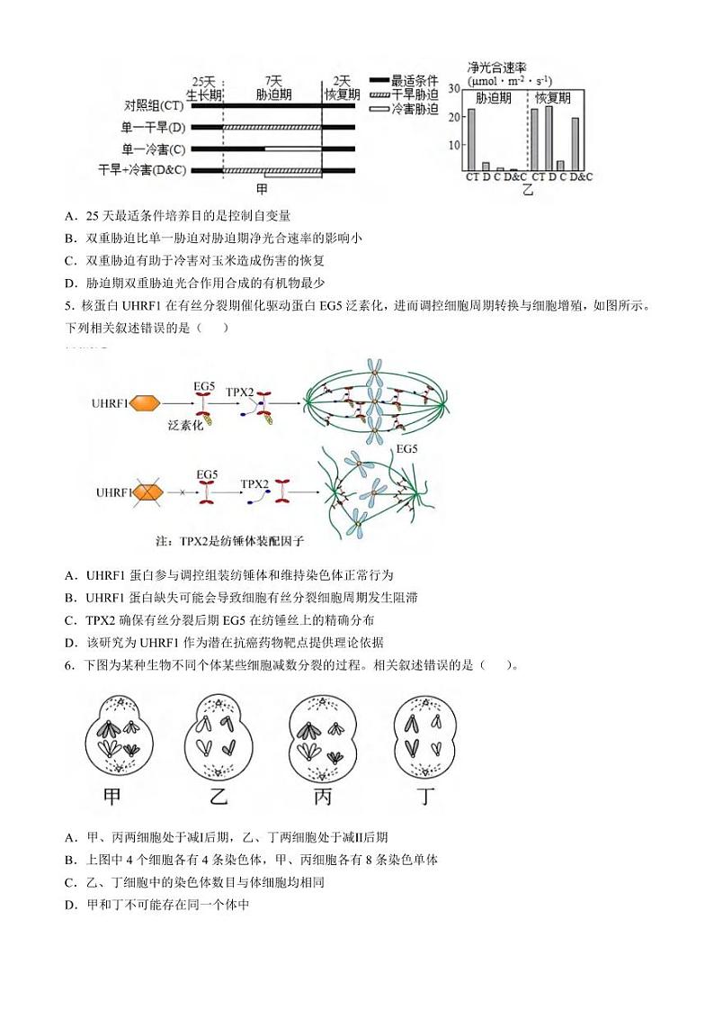 生物丨辽宁省辽宁省实验中学2025届高三10月月考暨第一次阶段测试生物试卷及答案第2页